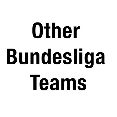 Other Bundesliga Teams