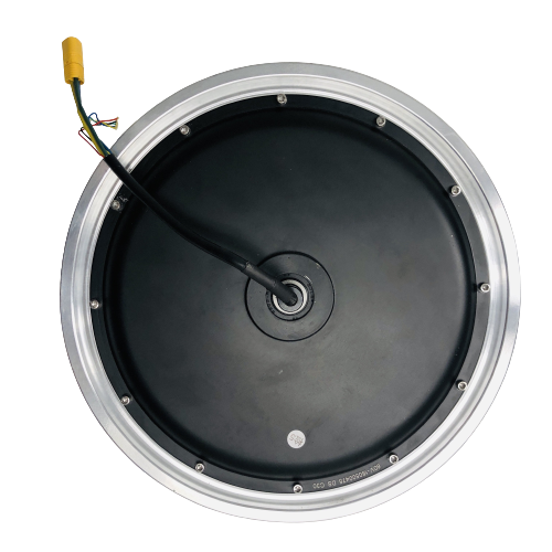 V10F Motor