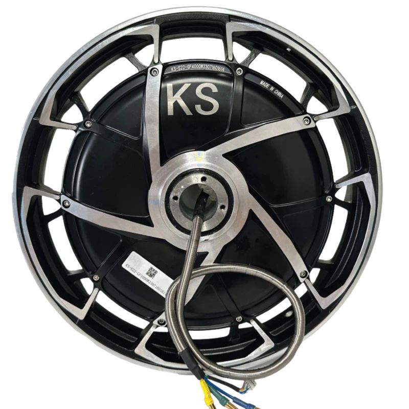 S22 Pro Motor 4000W