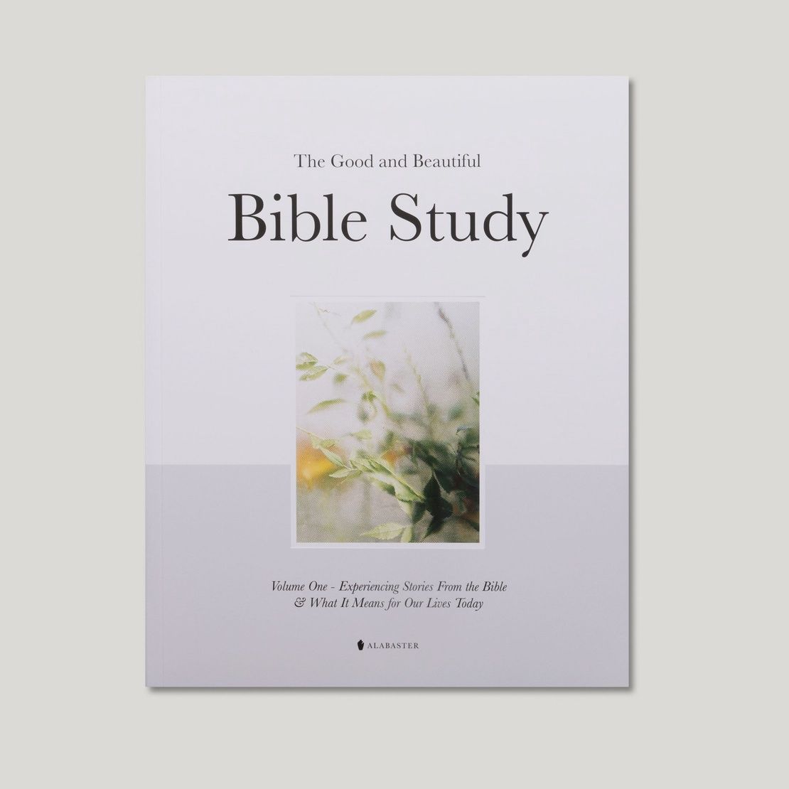 The Good and Beautiful Bible Study - Volume 1