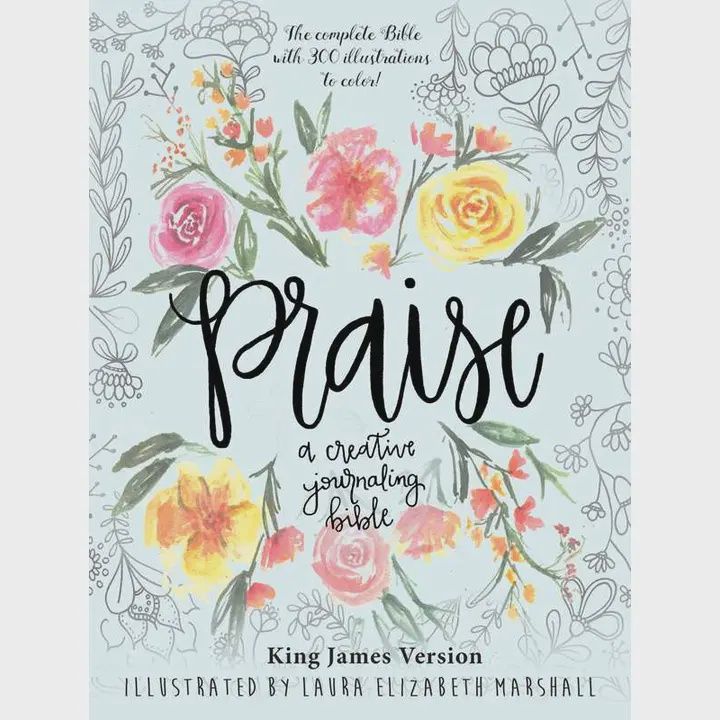Praise: A Creative Journaling Bible