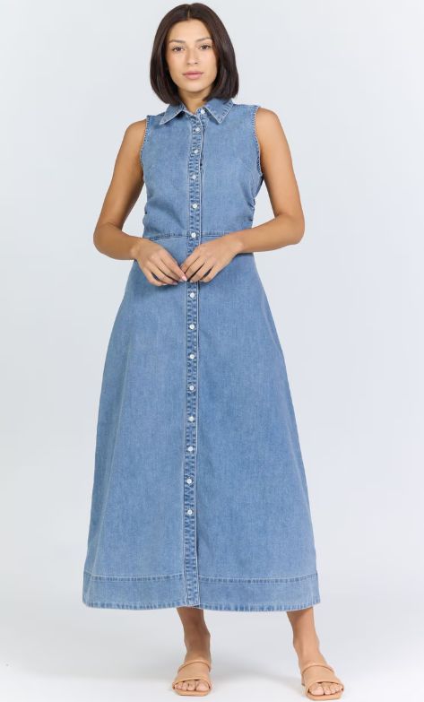 Luella Denim Dress