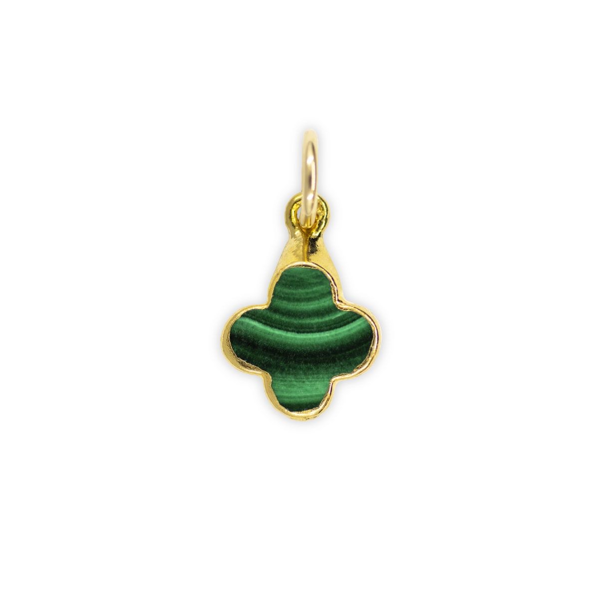 Large Malachite Clover
