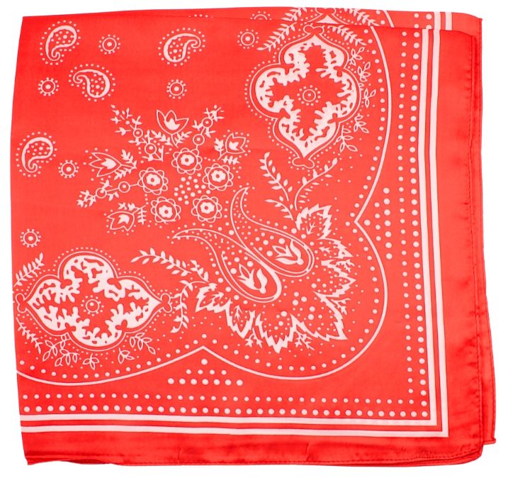 Paisley Print Bandana Scarf
