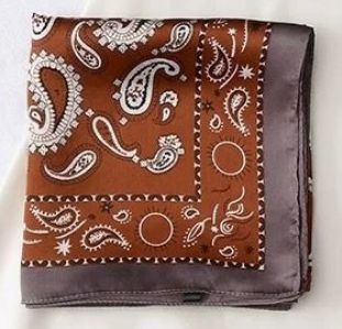 Paisley Silk Bandana Scarf