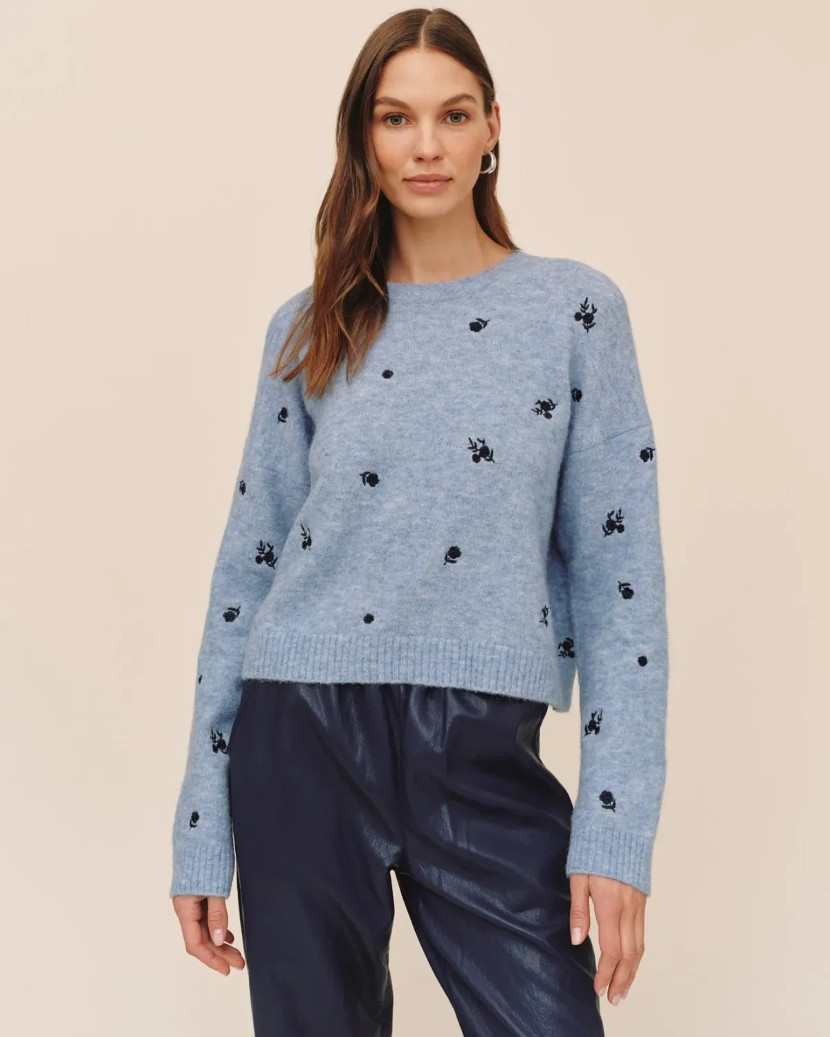 Embroidered Crew Neck Sweater, COLOR: Blue Dream, Size: XS