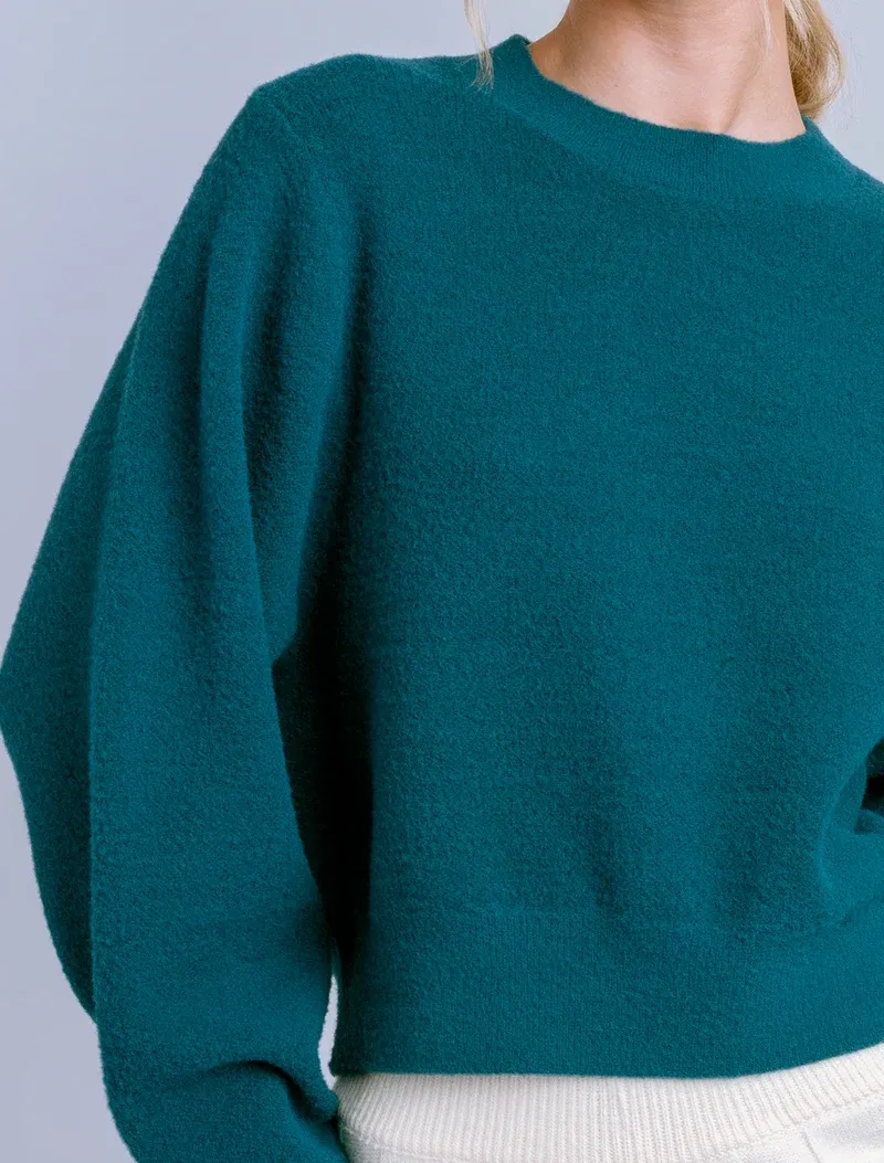Carrara Solid Sweater