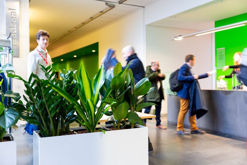 Mix lage planten in lange witte bak - 130-140 cm