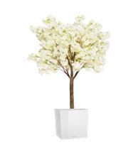 Bloesemboom in standaard vierkante pot - 240 / 260 cm