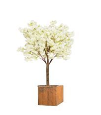 Bloesemboom in houten bak - 240 / 260 cm