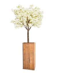 Bloesemboom in houten zuil - 300 / 320 cm