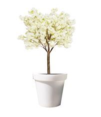 Bloesemboom in verlichte pot - 300 / 320 cm