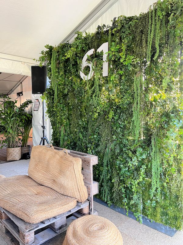 Greenwall 240b x 250h cm