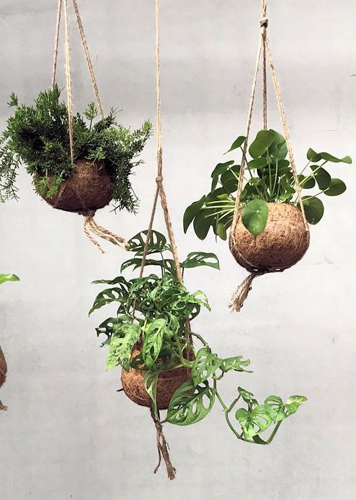 Hangplant met kunstplant in cocodama
