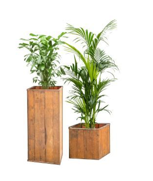 Mix planten in houten bak / zuil