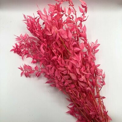 Trockenblumen, Ruscus, pink