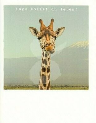 Polaroid, Giraffe