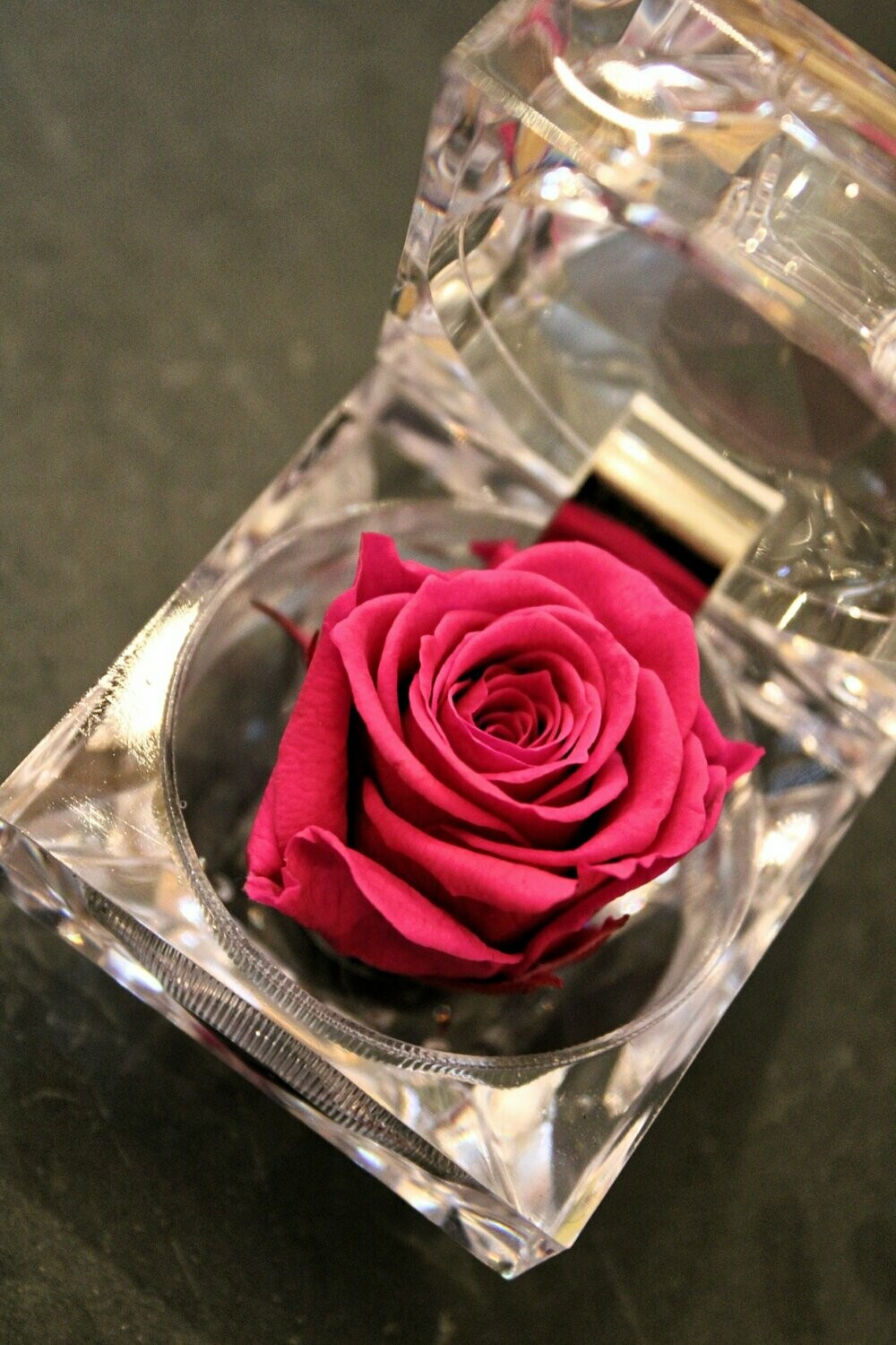 Rose, pink