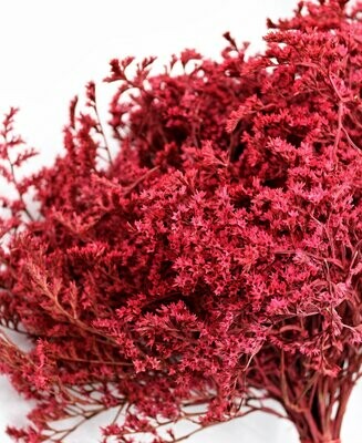 Trockenblumen, Statice tatarica, red
