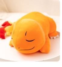 Pokemon  Sleeping Charmander