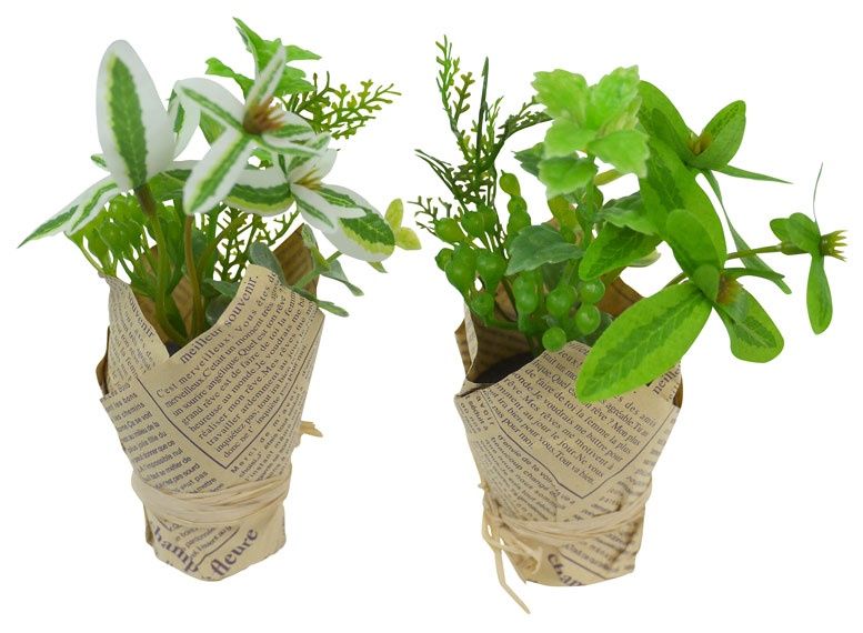 Green pot herb mixture@PH5534 グリーンポットハーブミックス