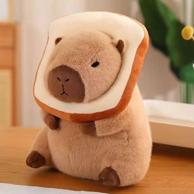 Capybara soft toy 4 design 30cm