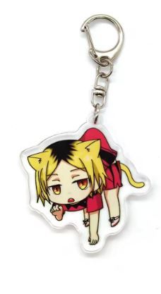 Haikyu!! Kenma(Cat)