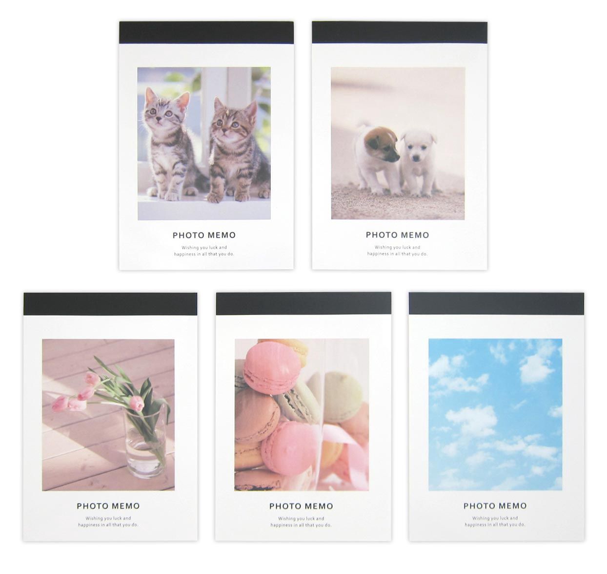 memo pad@A6フォトメモ 5柄アソート