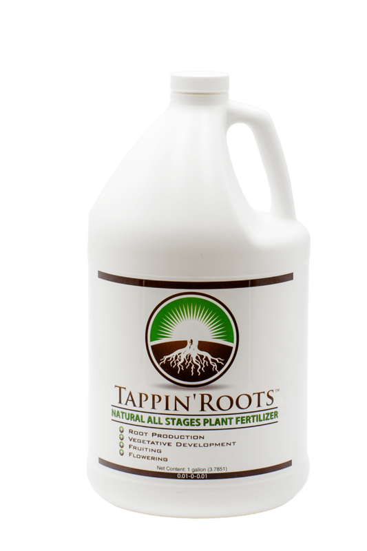 TAPPIN’ ROOTS ALL STAGES