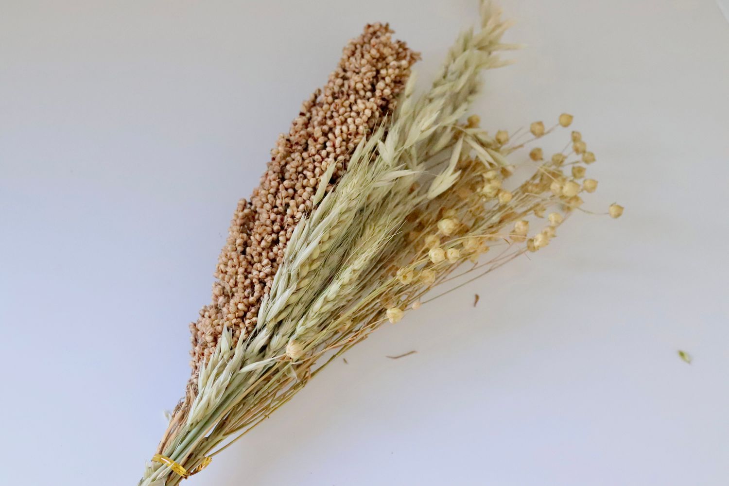 Bouquet de céréales