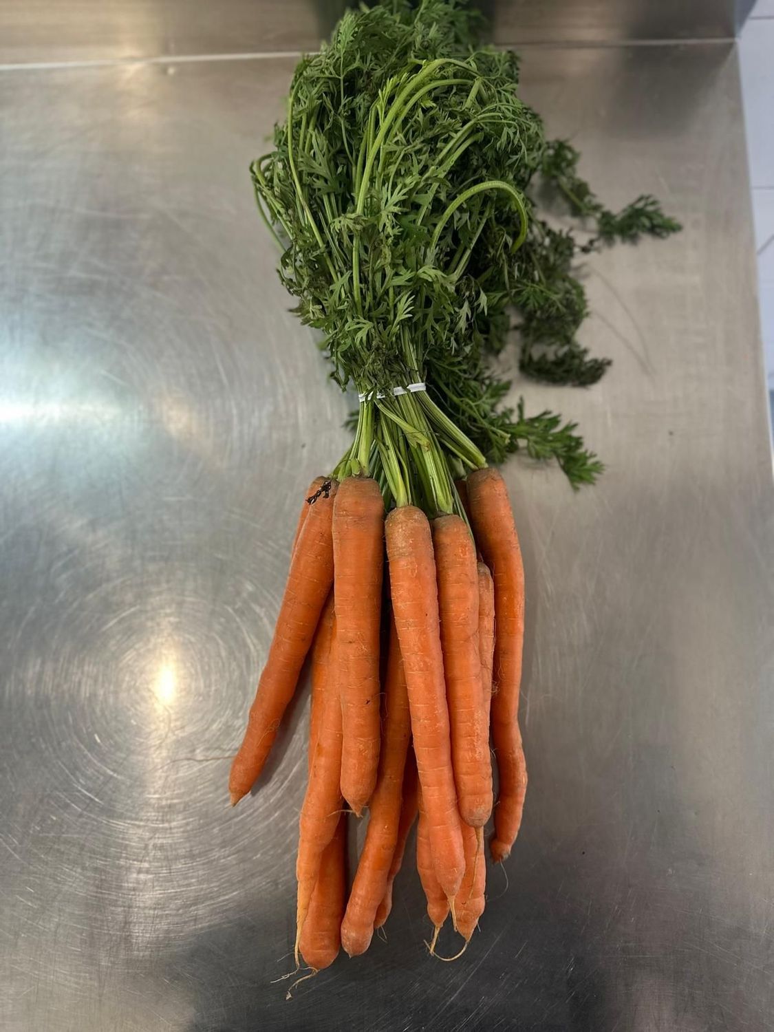 Carote a mazzo