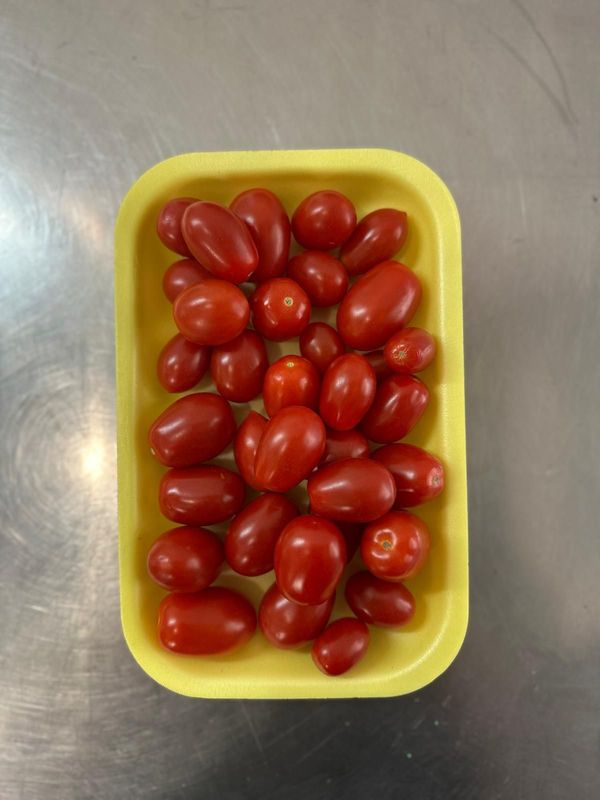 Datterini in vaschetta