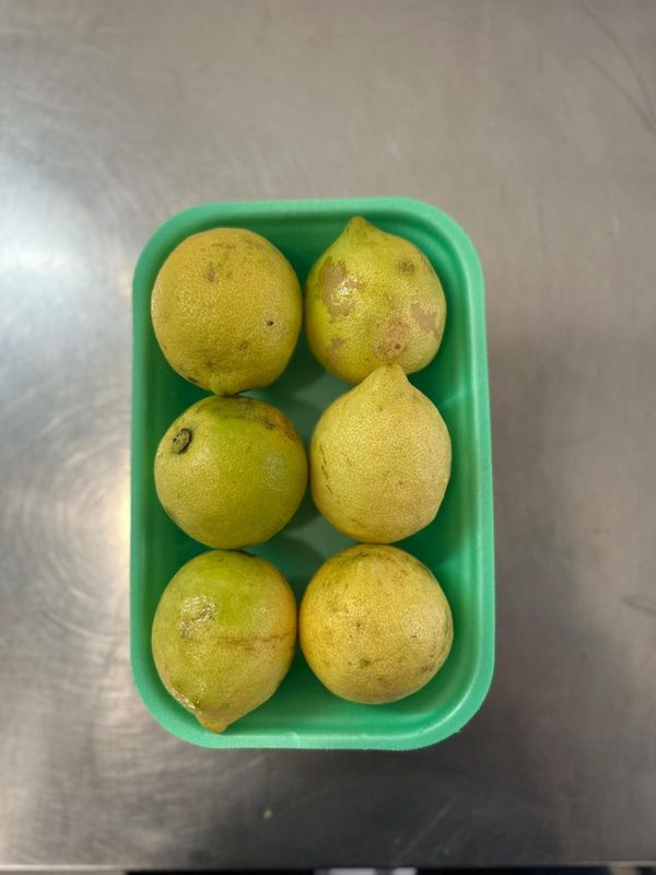 Limoni 6 pezzi