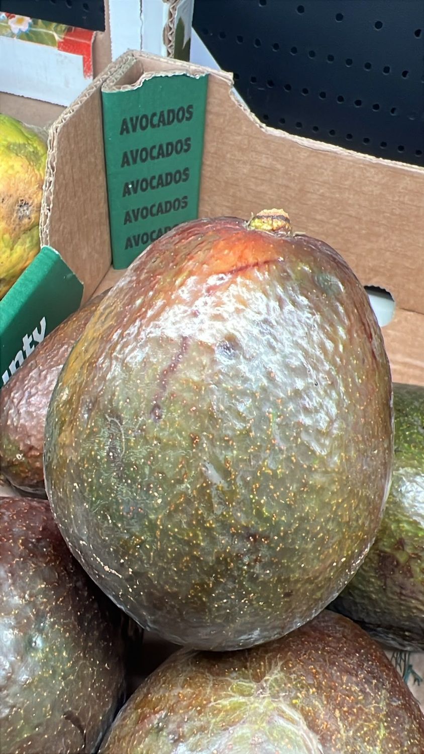 avocado