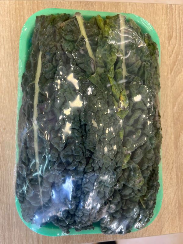 cavolo nero
