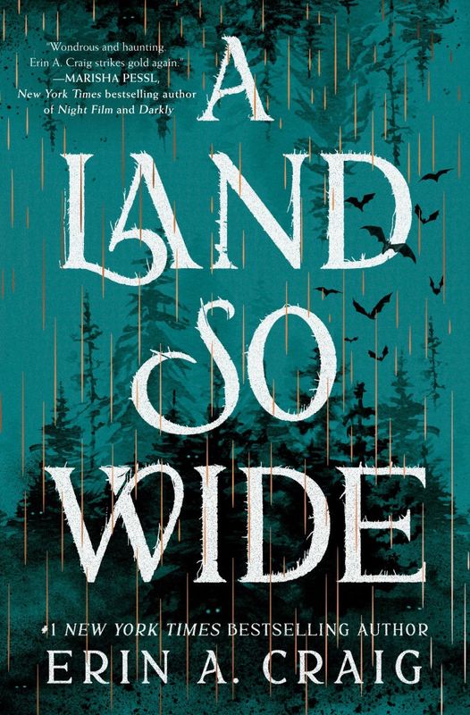 A Land So Wide: A Novel