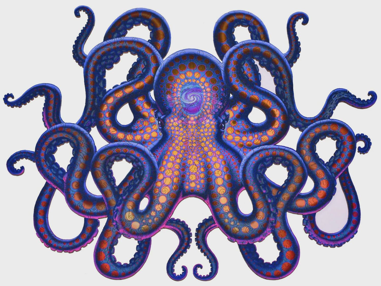 Octopus
