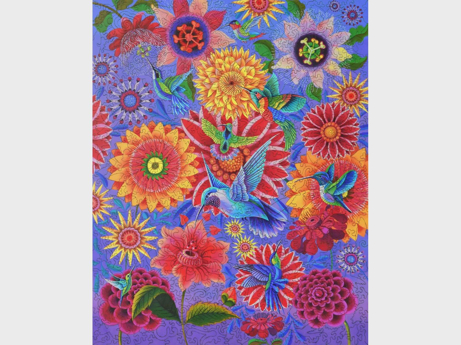 A Charm of Hummingbirds