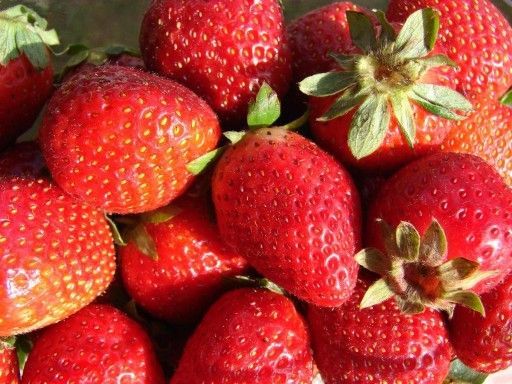 Rośliny i nasiona kolekcjonerskie