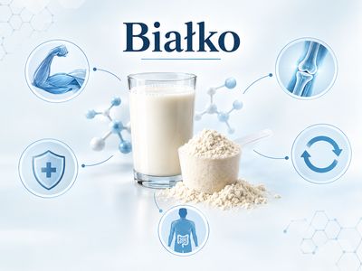Co to jest białko i jak działa?