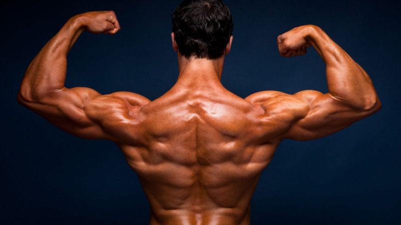 Best Sarms For Cutting