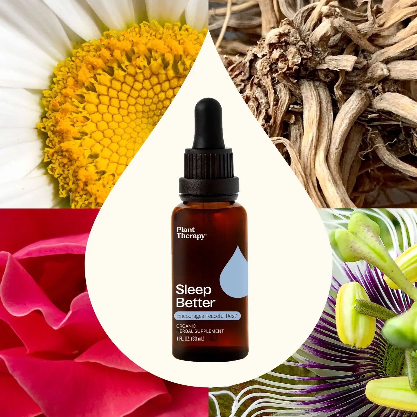 Plant therapy/ Sleep better 1oz