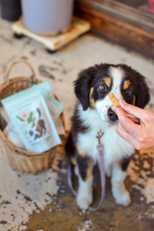 Botanical Bones Organic Pet Treats