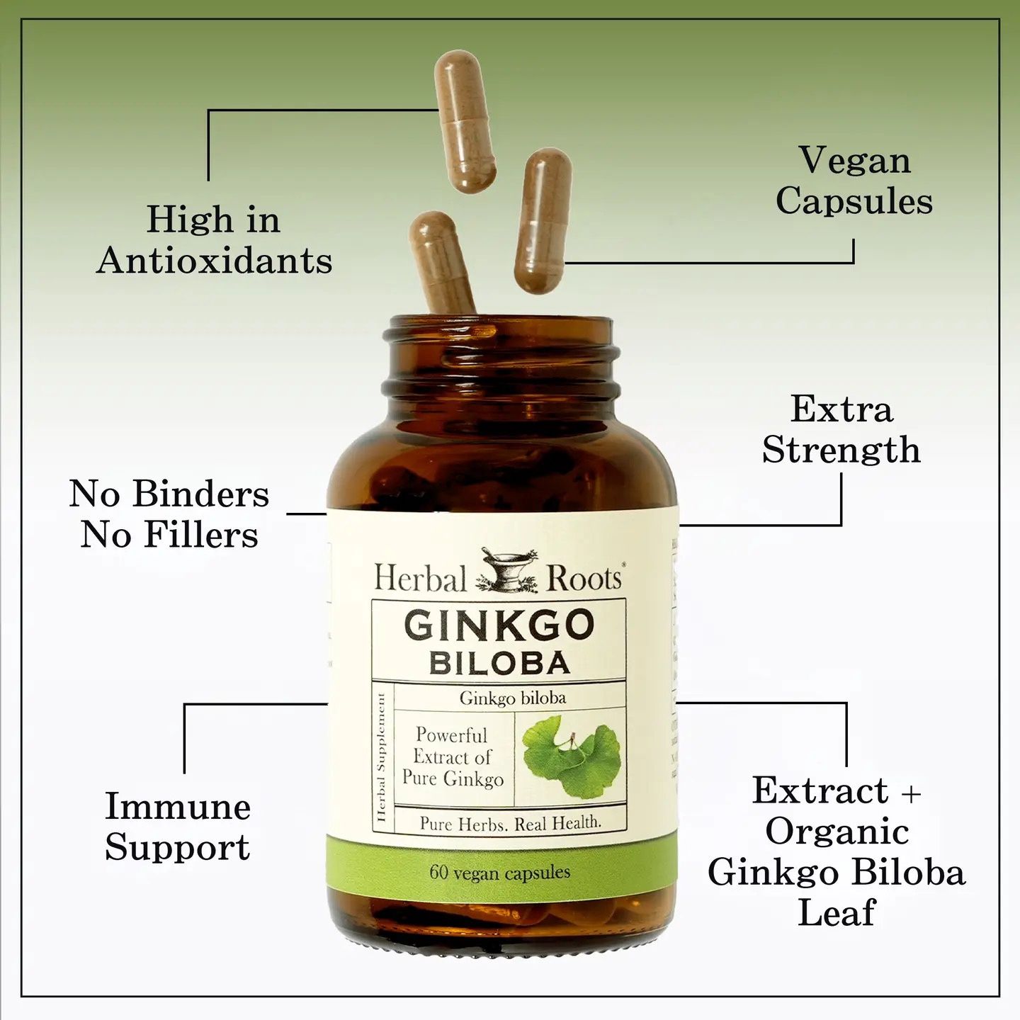 Herbal Roots/Ginkgo Biloba Cap