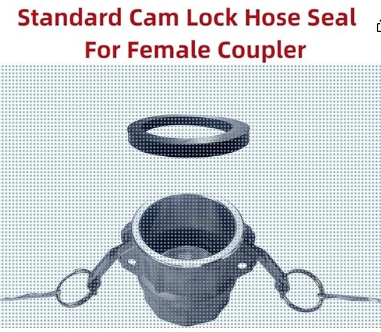 Power Products 2" Inch Camlock Gasket Fitting