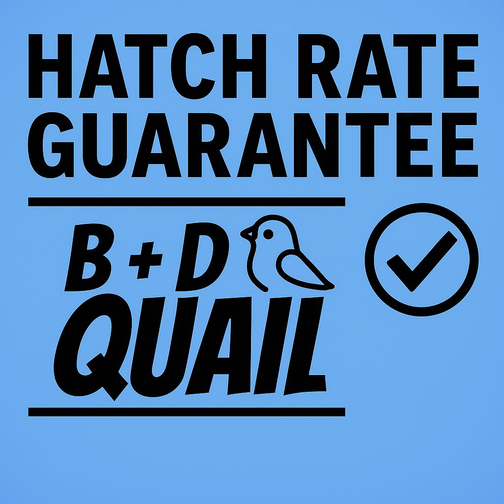 Hatch Rate Guarantee &amp; Insurance