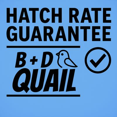 Hatch Rate Guarantee &amp; Insurance