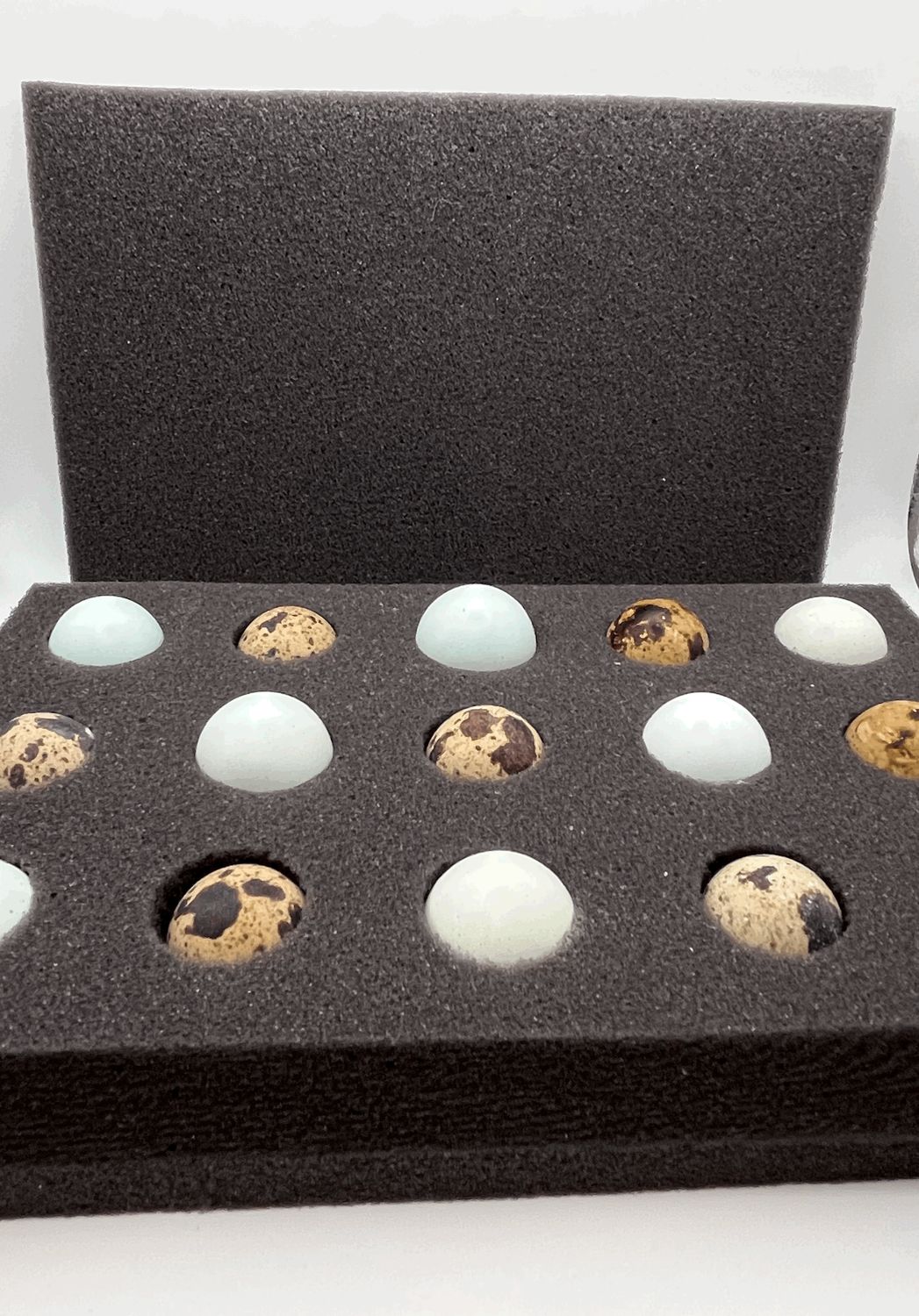 BD Foam Shipper 15 Hole (Coturnix Quail)