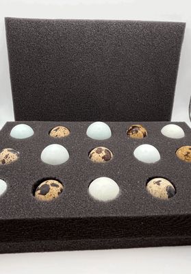 BD Foam Shipper 15 Hole (Coturnix Quail)