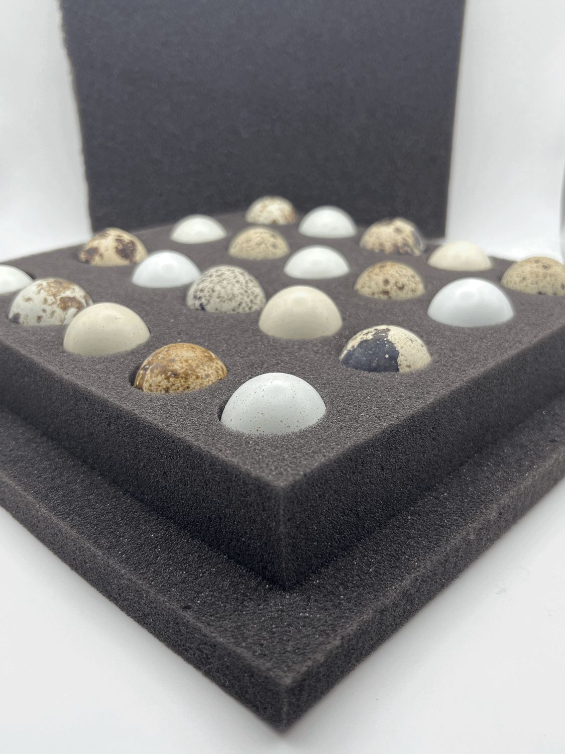 BD Foam Shipper 20 Hole (Coturnix Quail)